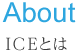 ICEとは